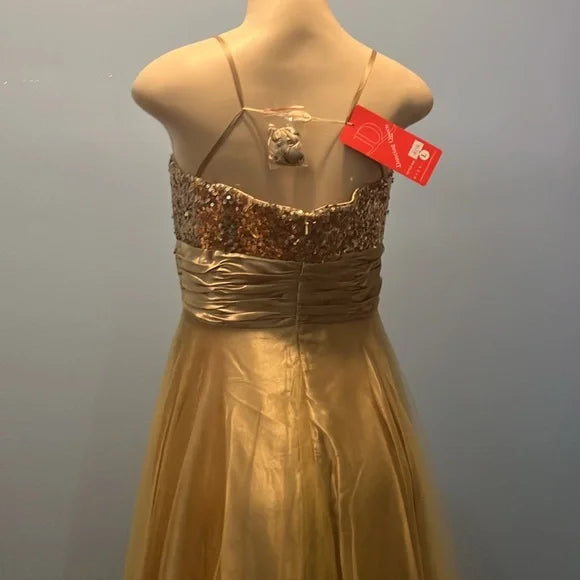 Gold dress for promo