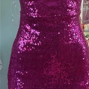 Elegant dark pink Sequin Dress